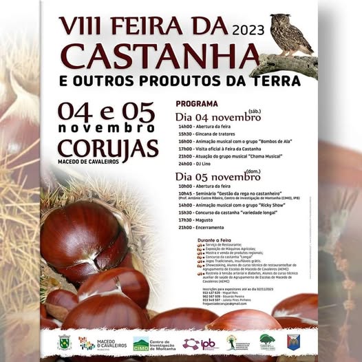 482025246_1072179558282984_8214643254660199999_n