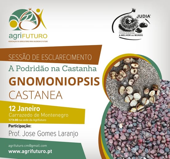 485319218_1061148529387903_1003056806333560451_n