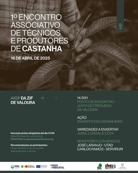 491582412_1145020094088813_1931680028337189922_n