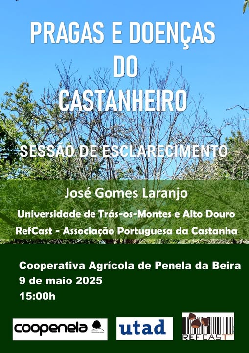 494645639_1146679360596661_2115020287286770671_n