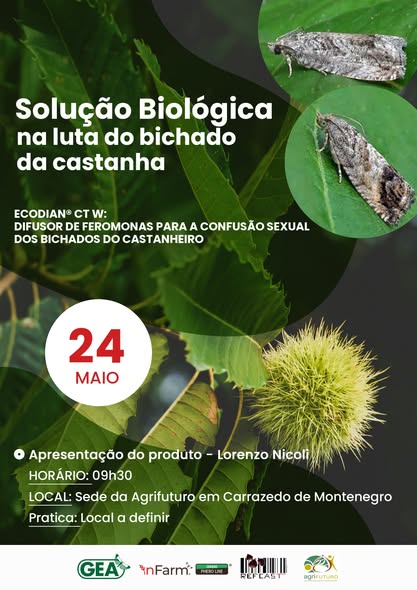 499470597_1167721098485379_5799675805358303261_n