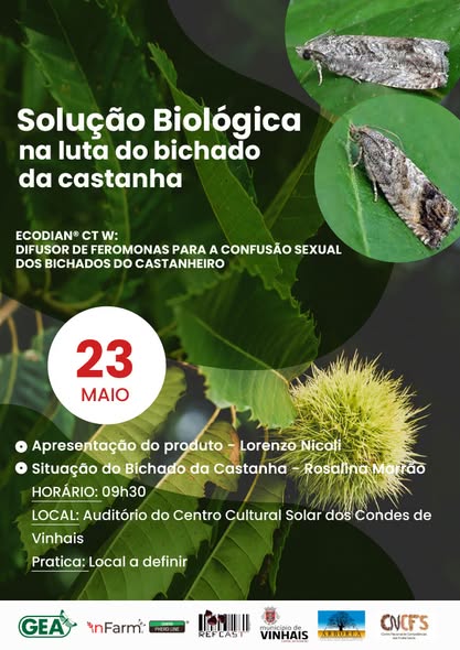 499639931_1167721015152054_258068340139743739_n