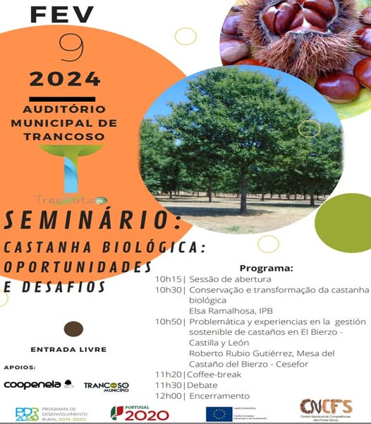 508386648_10237032007715229_6279842554048751375_n