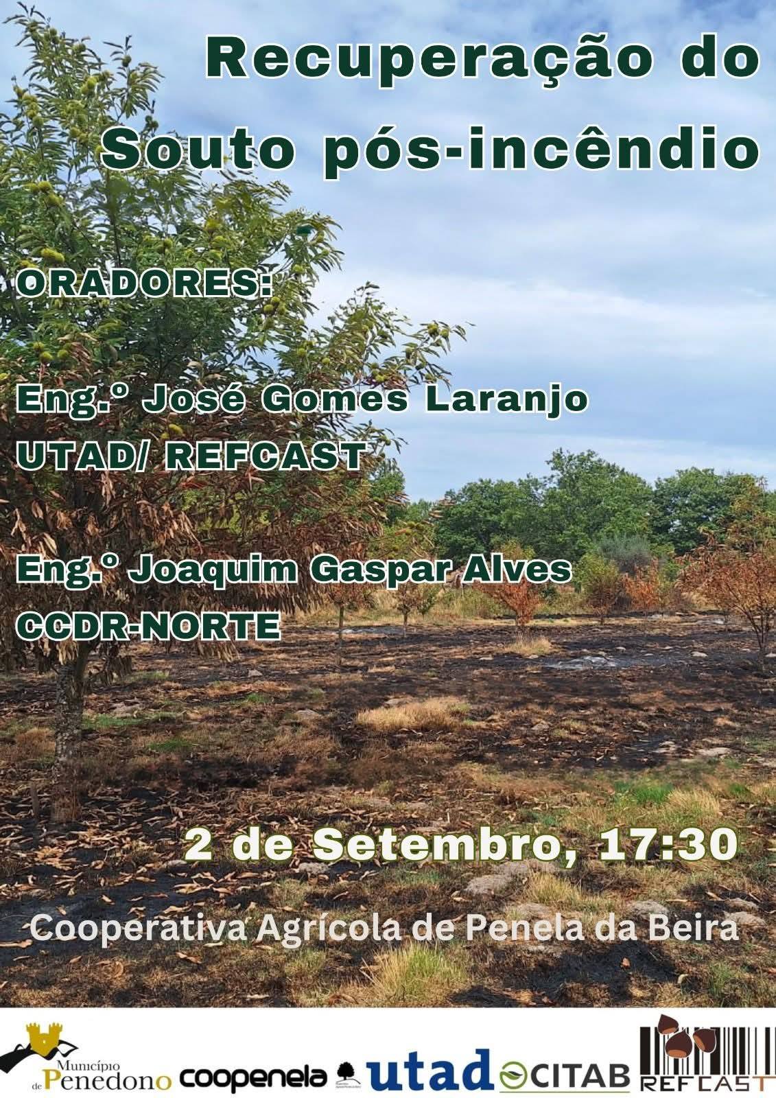 540839884_1249415613649260_1296131558049796090_n