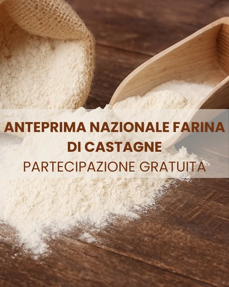 543195857_122157953012819991_422565650077763286_n