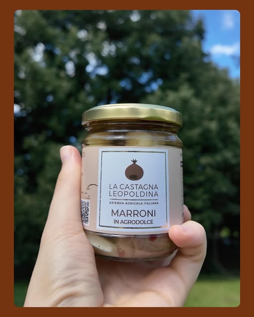 549258222_17880437598391882_151141913113853406_n