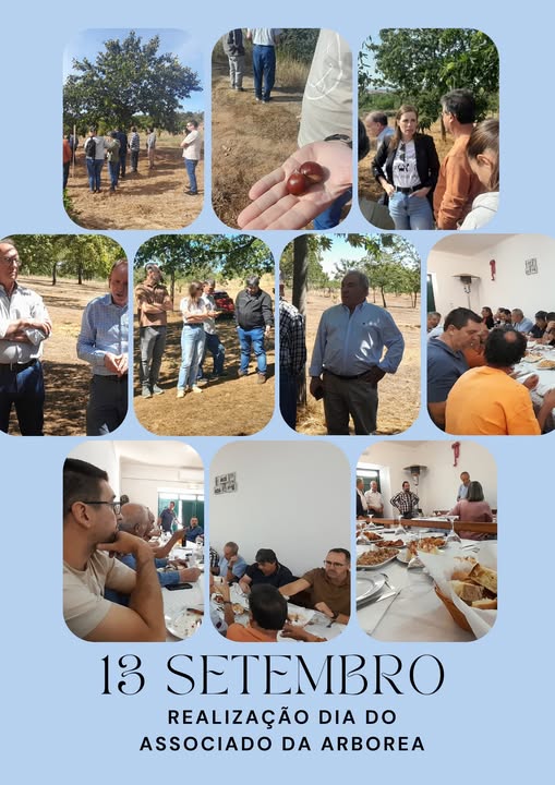 549739876_1356546256365414_4454044198882502496_n