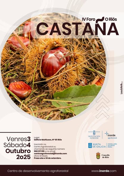 557066203_122105983899020067_8571076438879923898_n