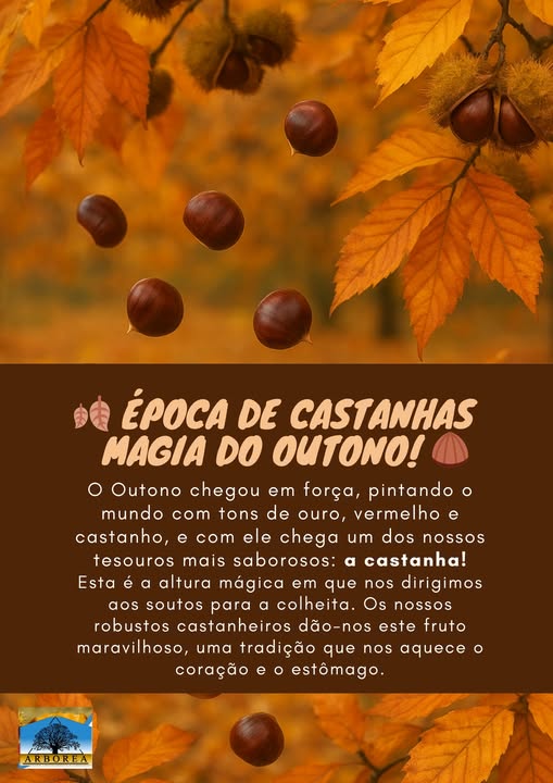 559975097_1376875080999198_5475095045389967967_n