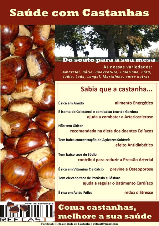 561176143_1285697446687743_905280533097996357_n