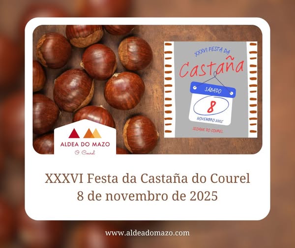 561707713_1414997160635049_6445068802517969791_n