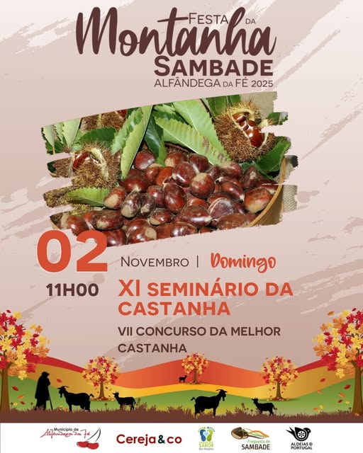 565780706_1234143972085061_8528020788859581995_n