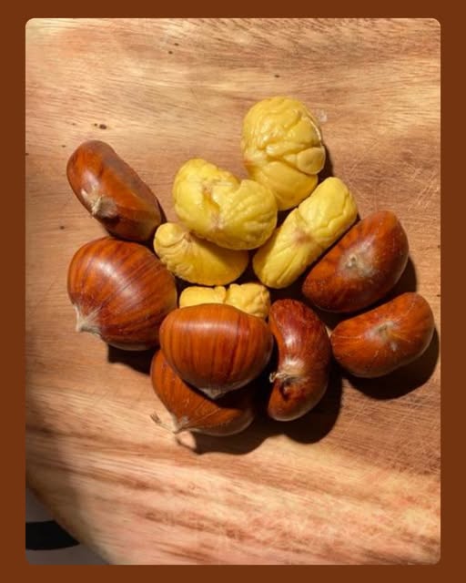 566957908_17884052601391882_3519580342676859213_n