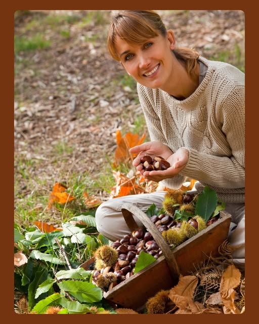 568673721_17884051476391882_4954653855986636914_n