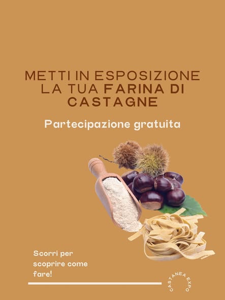 575634262_17886342996391882_6843837612701551176_n