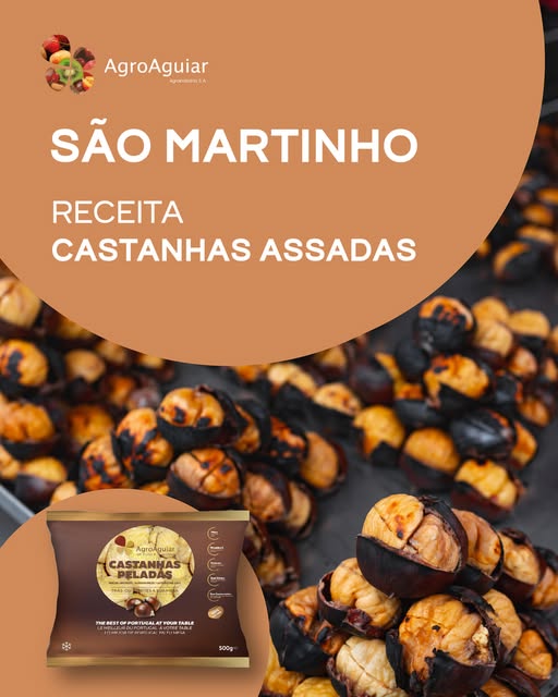 581057311_1314448853819902_6871589331652104399_n