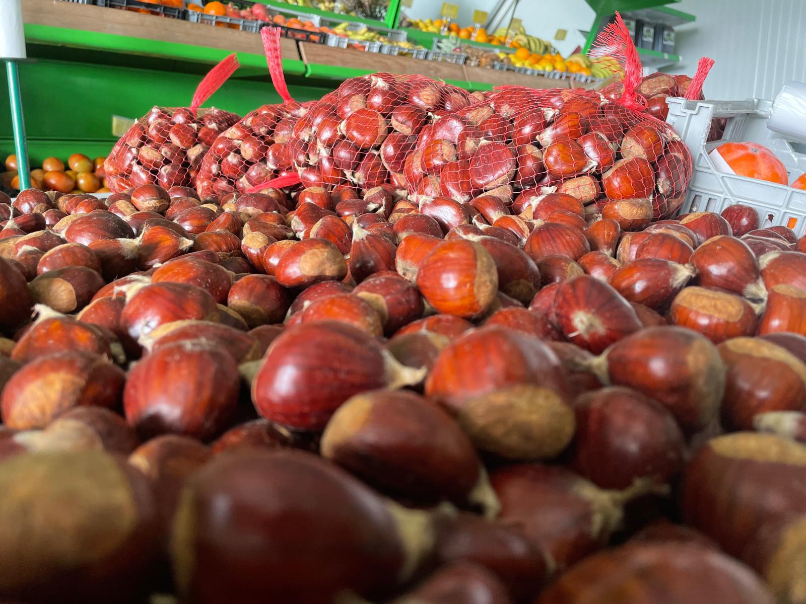 582410918_1476041540991069_8237216280001122850_n