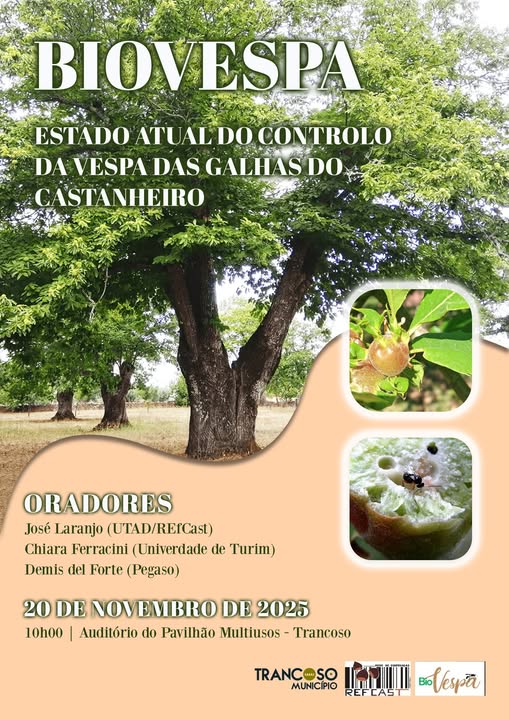 582757688_1308070301363345_426538772548531230_n