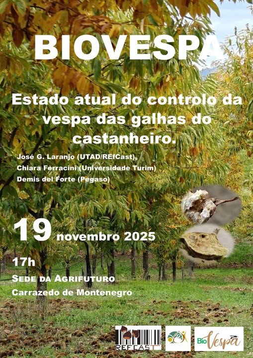 583006011_1257192893116798_8572311645745534094_n