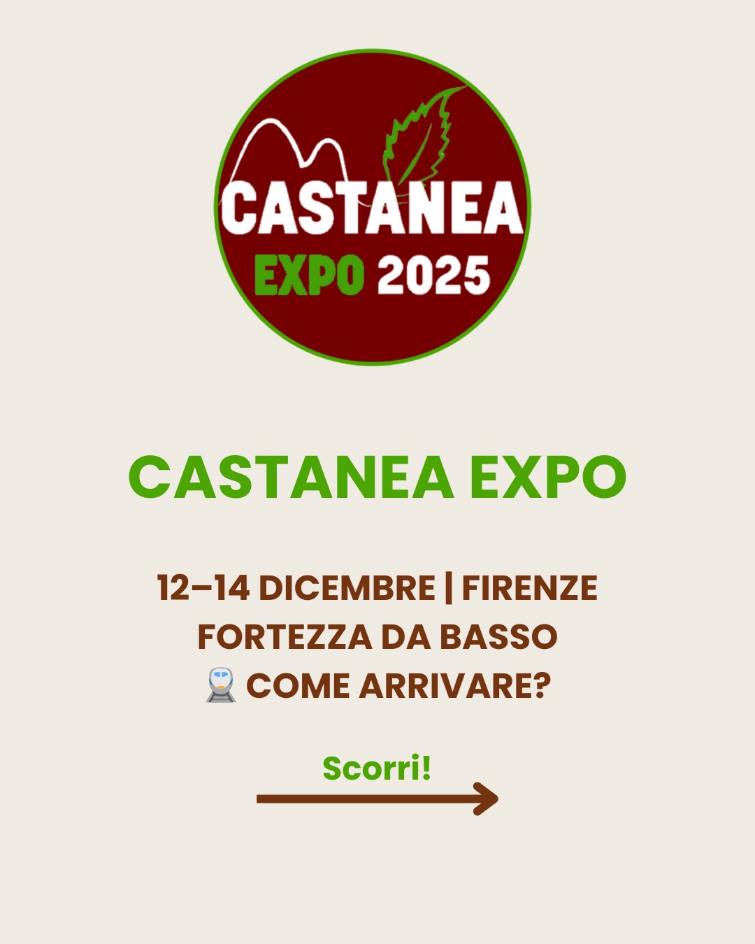 586666917_17888406210391882_5389967399373949829_n