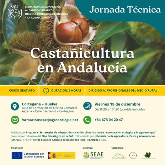 592523165_1173192284939133_4636485211948616124_n (1)