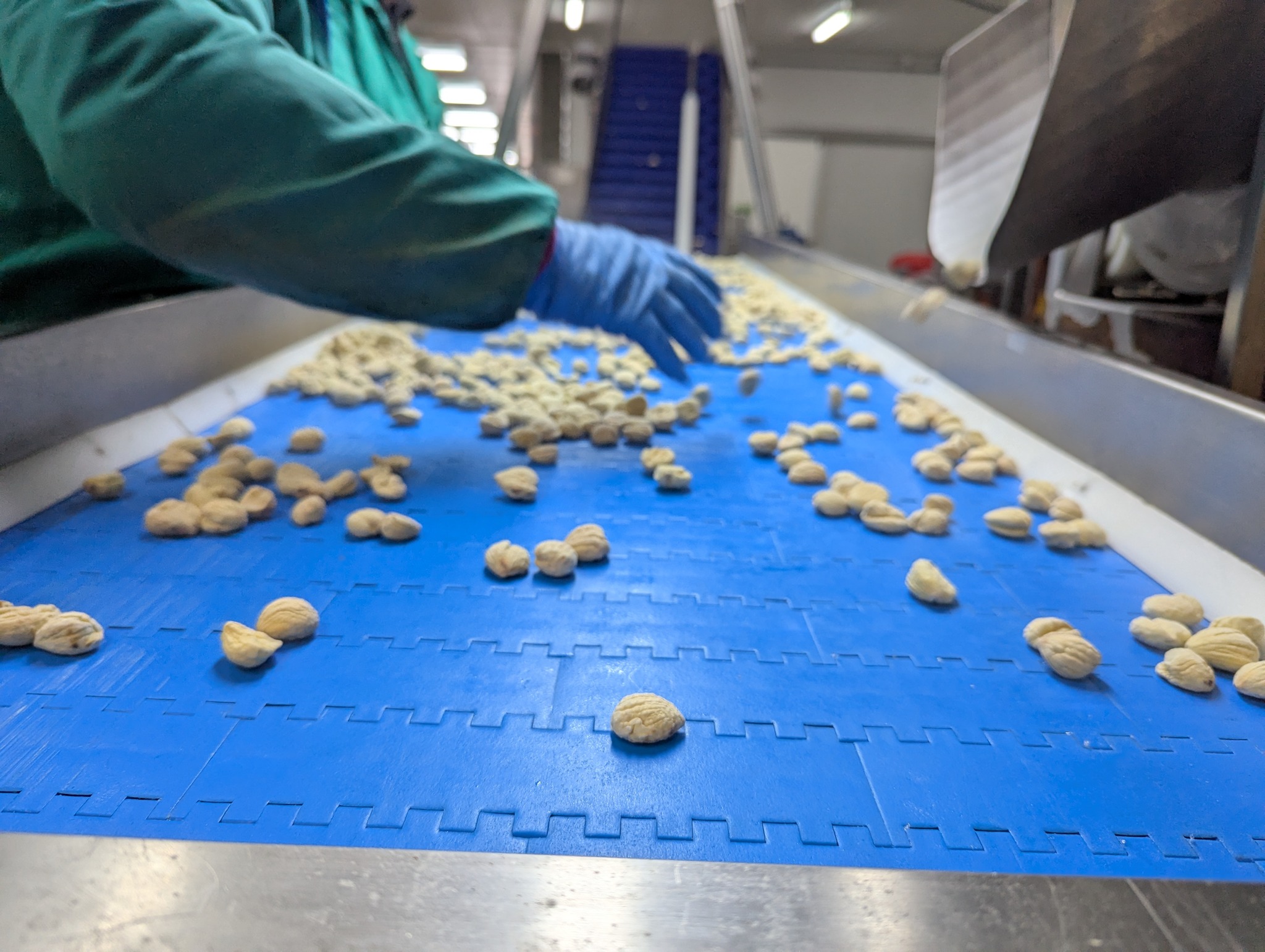 595768166_1406331808170539_4779352259171102295_n