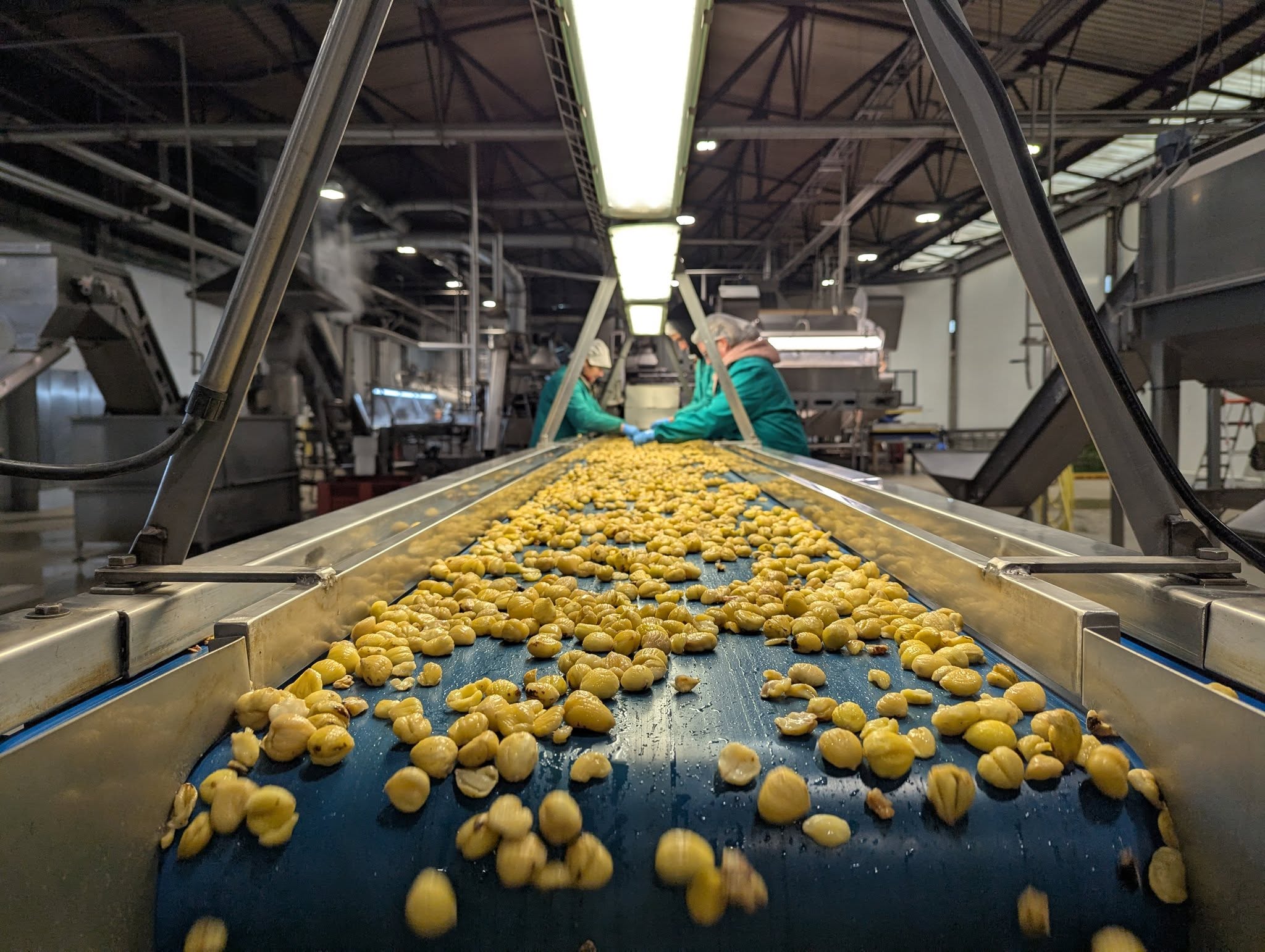 595839317_1406331851503868_432893315378624506_n