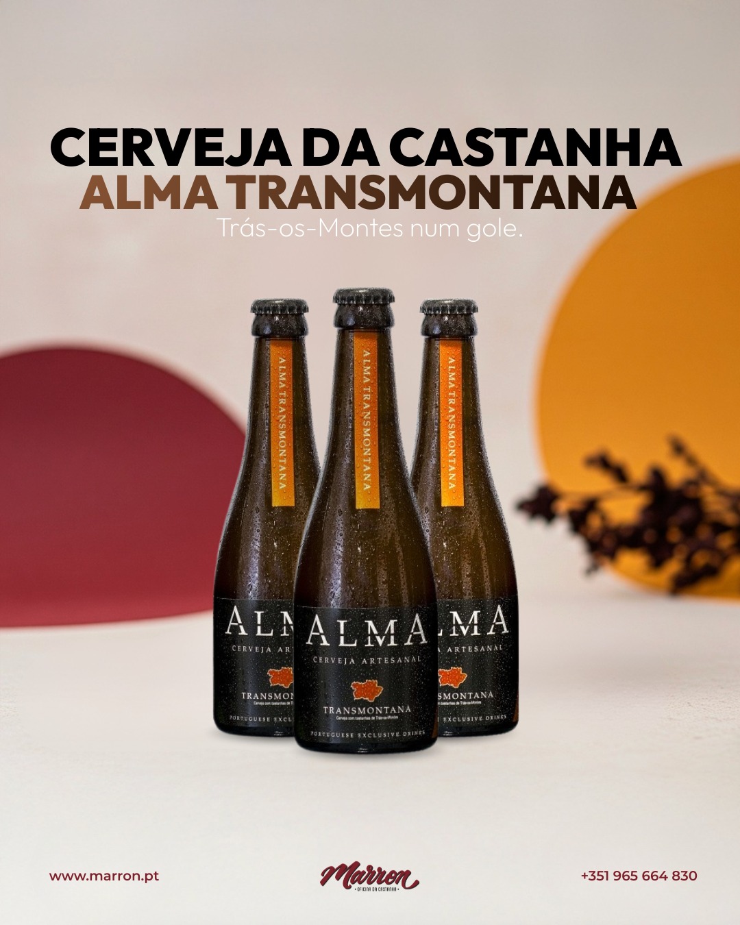 615995737_1339509841526516_4625942685247684021_n