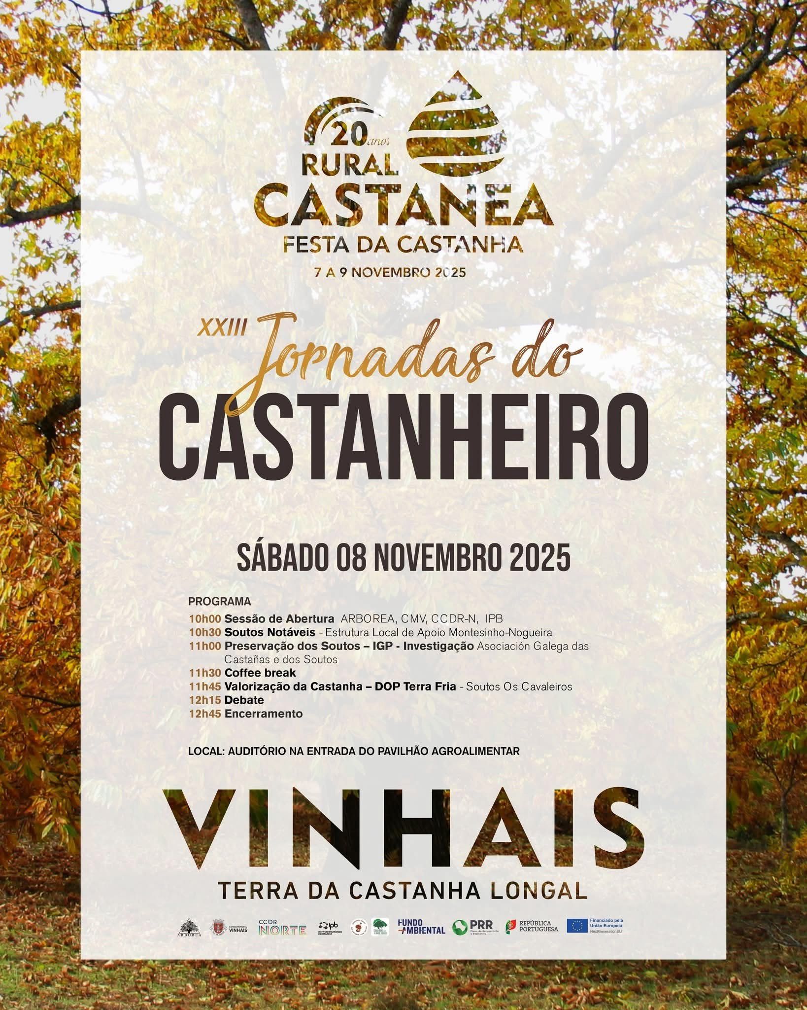 WhatsApp Image 2025-10-29 at 23.04.06