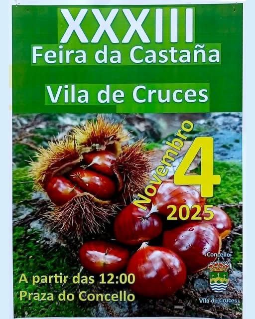 WhatsApp Image 2025-11-02 at 22.57.55