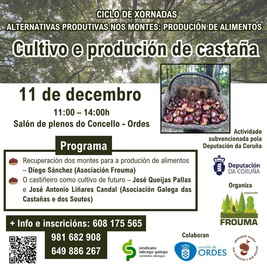 WhatsApp Image 2025-12-08 at 18.34.27