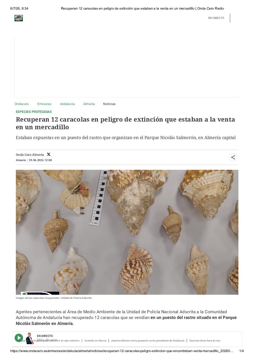 Recuperan 12 caracolas en peligro de extinción que estaban a la venta en un mercadillo _ Onda Cero Radio