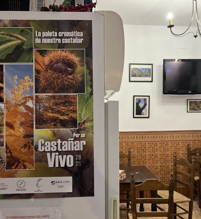 cartel difusión gala (12)