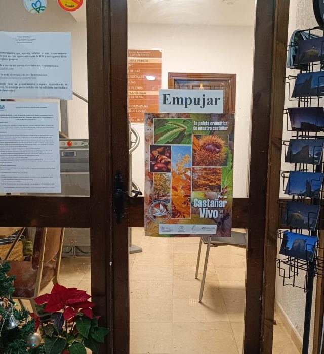 cartel difusión lm (1) rec